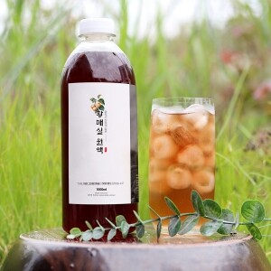 <font color=b85700>장독숙성 </font>황매실 엑기스<font color=BLUE>[1L X 2병]</font> <font color=red></font><span class=company>[HGD]</span>